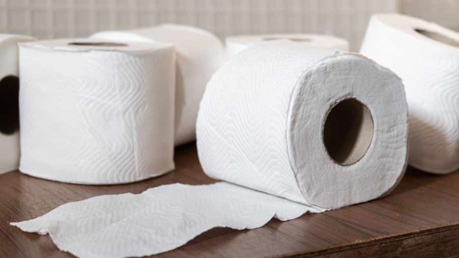 toilet paper home
