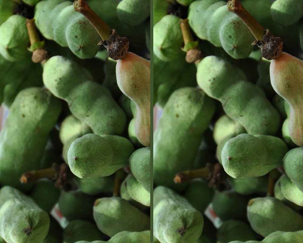 Health benefits of tropical pepper fruit Naijadazz