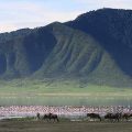 ngorongoro-conservation-area-things-to-do