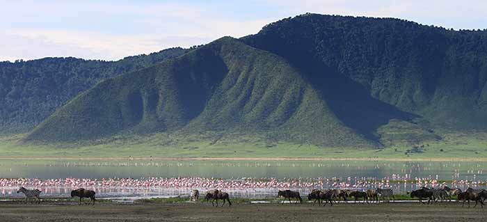 ngorongoro-conservation-area-things-to-do