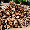 firewood-nigeria